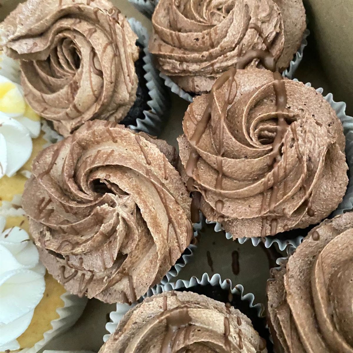 Chocolate cupcakes with piped frosting